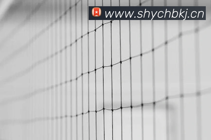 App Interface Preview