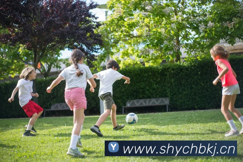 世界杯官方appAPP 封面图